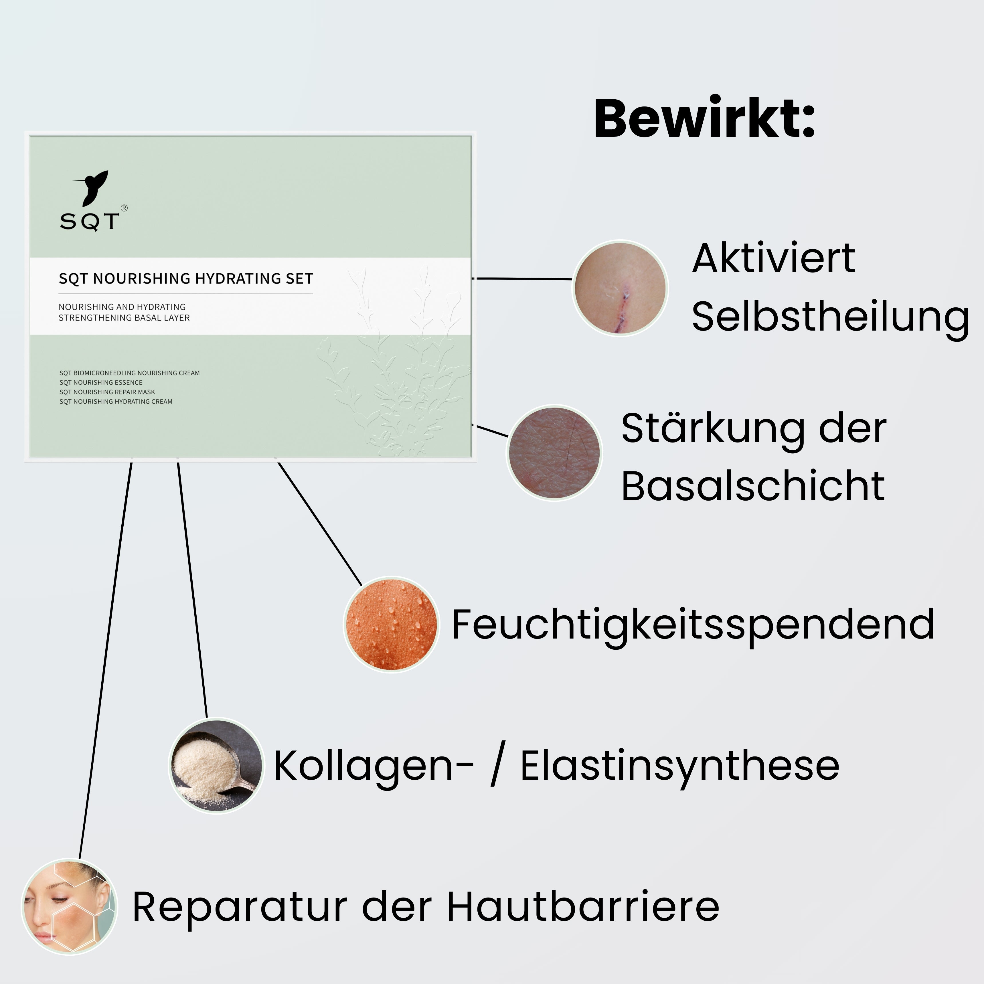 SQT großes Starterset inkl. Online Schulung