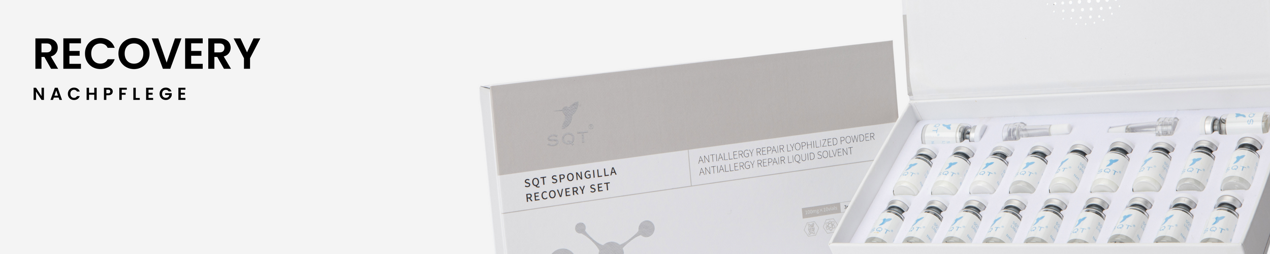 Recovery Set Nachbestellung